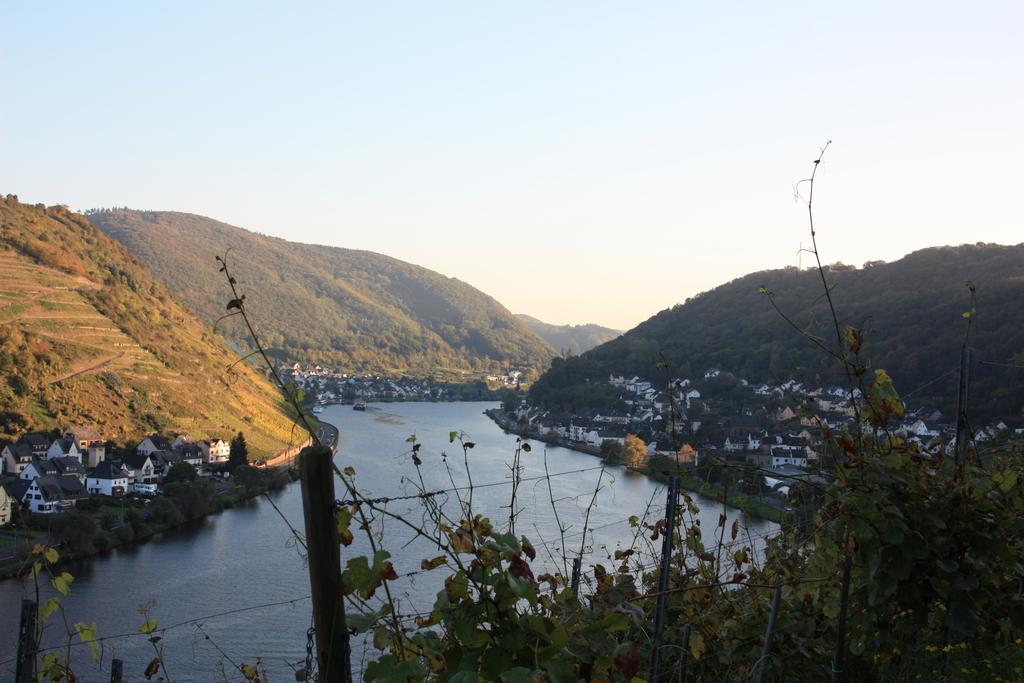 Gaestehaus Burgberg, Weinhaus Fries Kattenes Exterior foto
